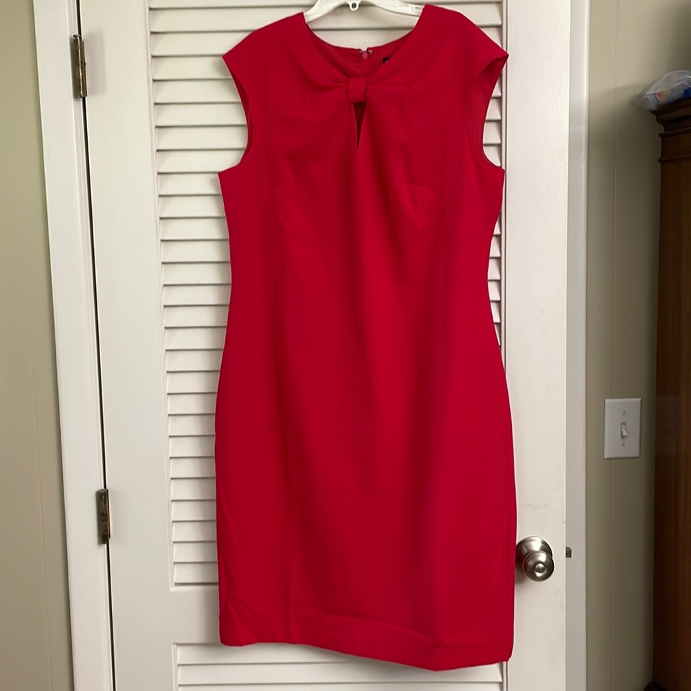 NWOT Lined Sheath dress